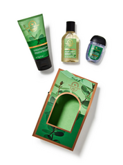 Eucalyptus Spearmint Aromatherapy Gift Set