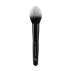 Pointed Powder Brush -1pc