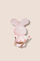 Bun Bun Mini Bunny Box -2pcs
