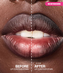 LIP CONTOUR STAIN 1.0ML