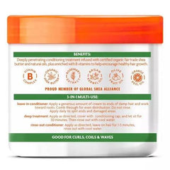 Argan Oil Leave-In Conditioning Repair Cream -453g
