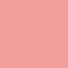 Fit Me Blush -4.5G